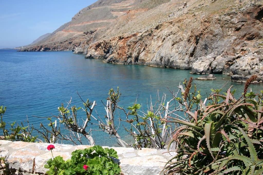 On The Beach Apartments Khora Sfakion Luaran gambar